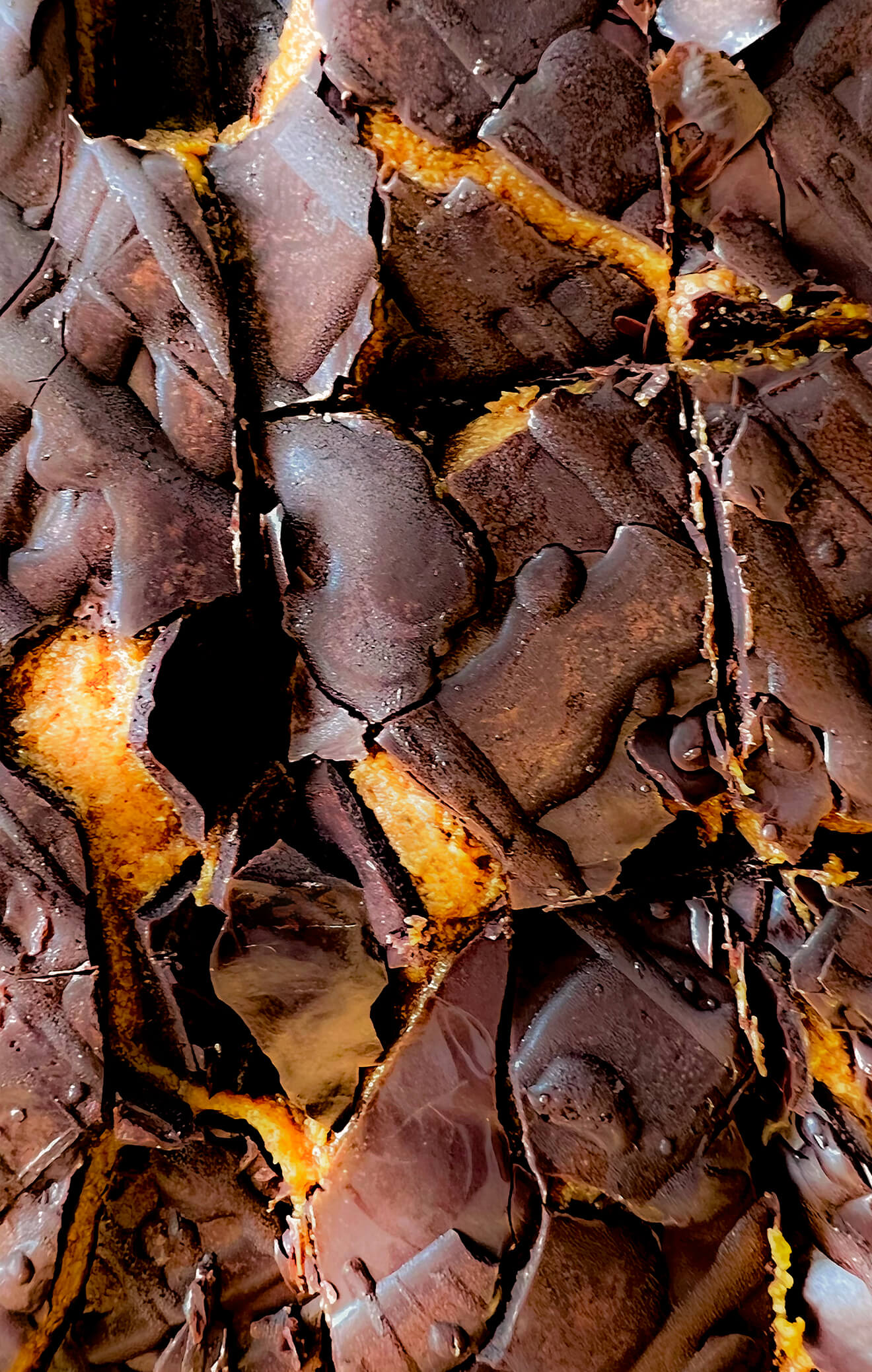 No Bake Chocolate Date Cashew Caramel Bars Crunchy shell with gooey caramel filling