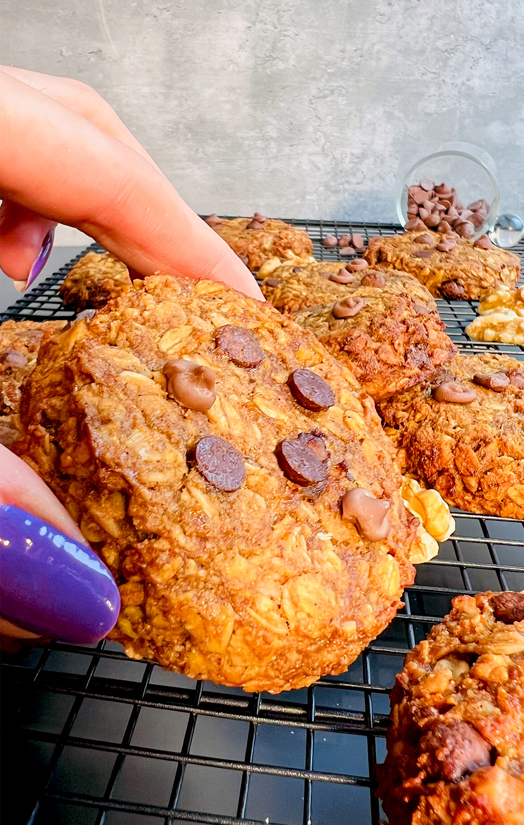 closeup to picking up a Healthy banana tahini oatmeal breakfast cookies, topped with chocolate chips. refined sugar free and dairy free, a quick and easy snack or dessert.
