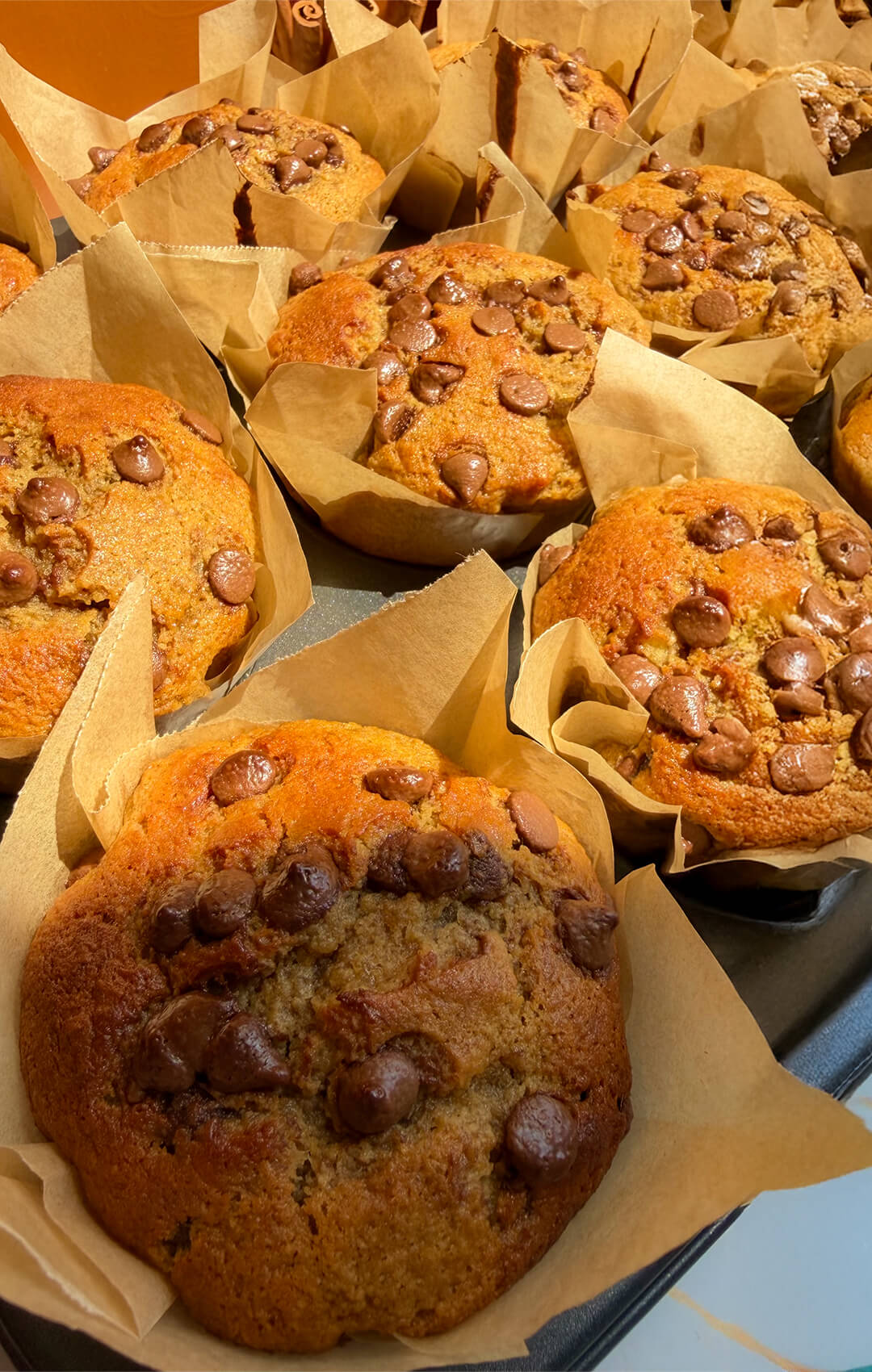 Single Banana Oat Chocolate Chip Muffin with a domed golden top and chocolate chips, banana bread flavour in muffin form, quick and easy high protein high fiber muffins with oat flour and lupin flour.