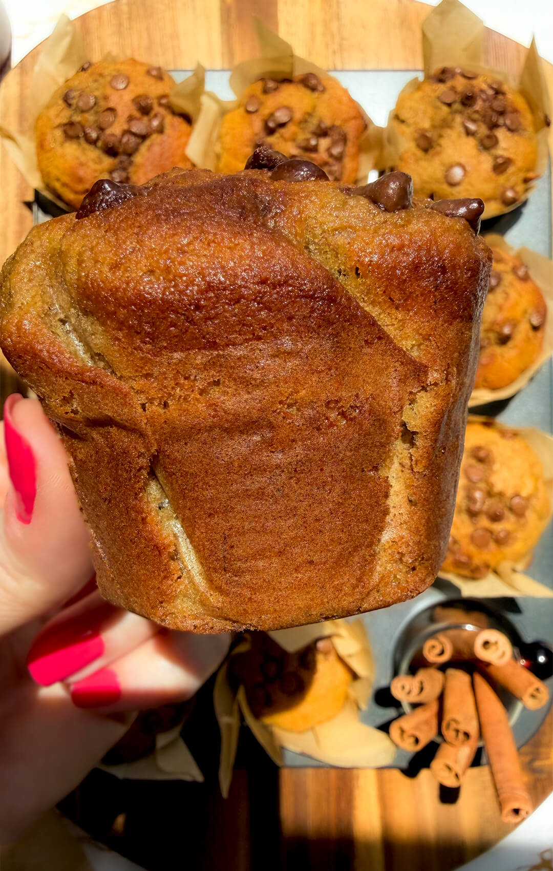 Hand holding the base of a Banana Oat Chocolate Chip Muffin showing the golden bake, soft fluffy banana bread style muffin made with oat flour and lupin flour for high protein and fiber.