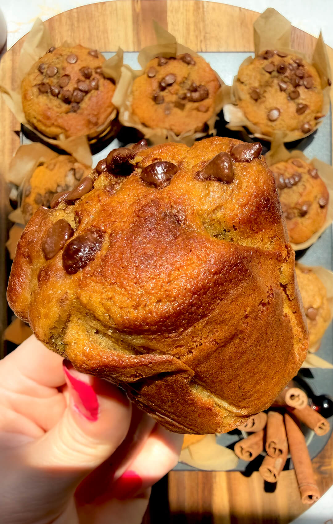 Hand holding a tall Banana Oat Chocolate Chip Muffin showing bakery style shape and golden sides, quick and easy high protein high fiber muffin made with oat flour and lupin flour.