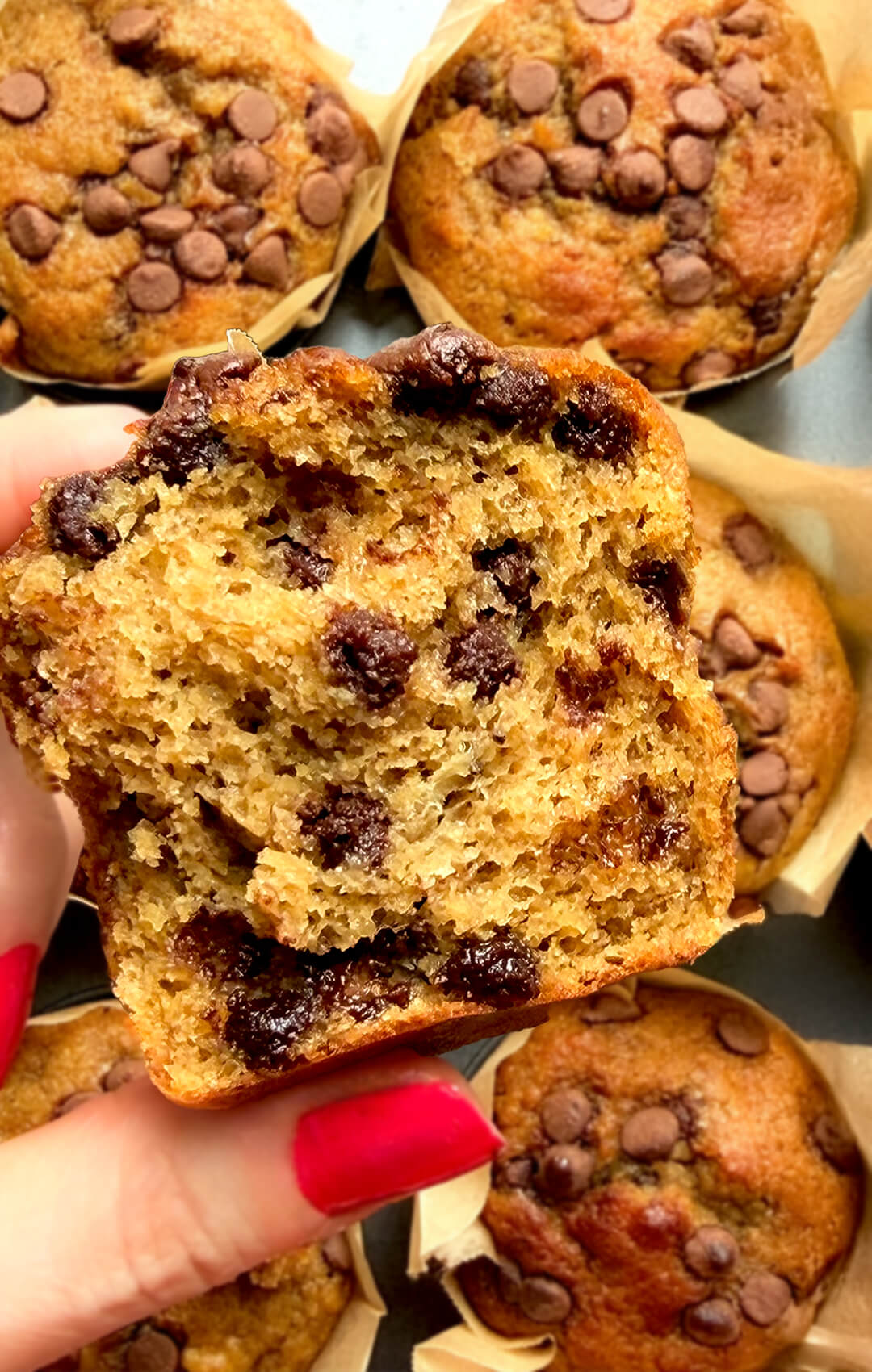 Bitten Banana Oat Chocolate Chip Muffin showing moist tender crumb and melted chocolate pockets, banana bread flavour in muffin form, quick and easy high protein high fiber muffins with oat flour and lupin flour.