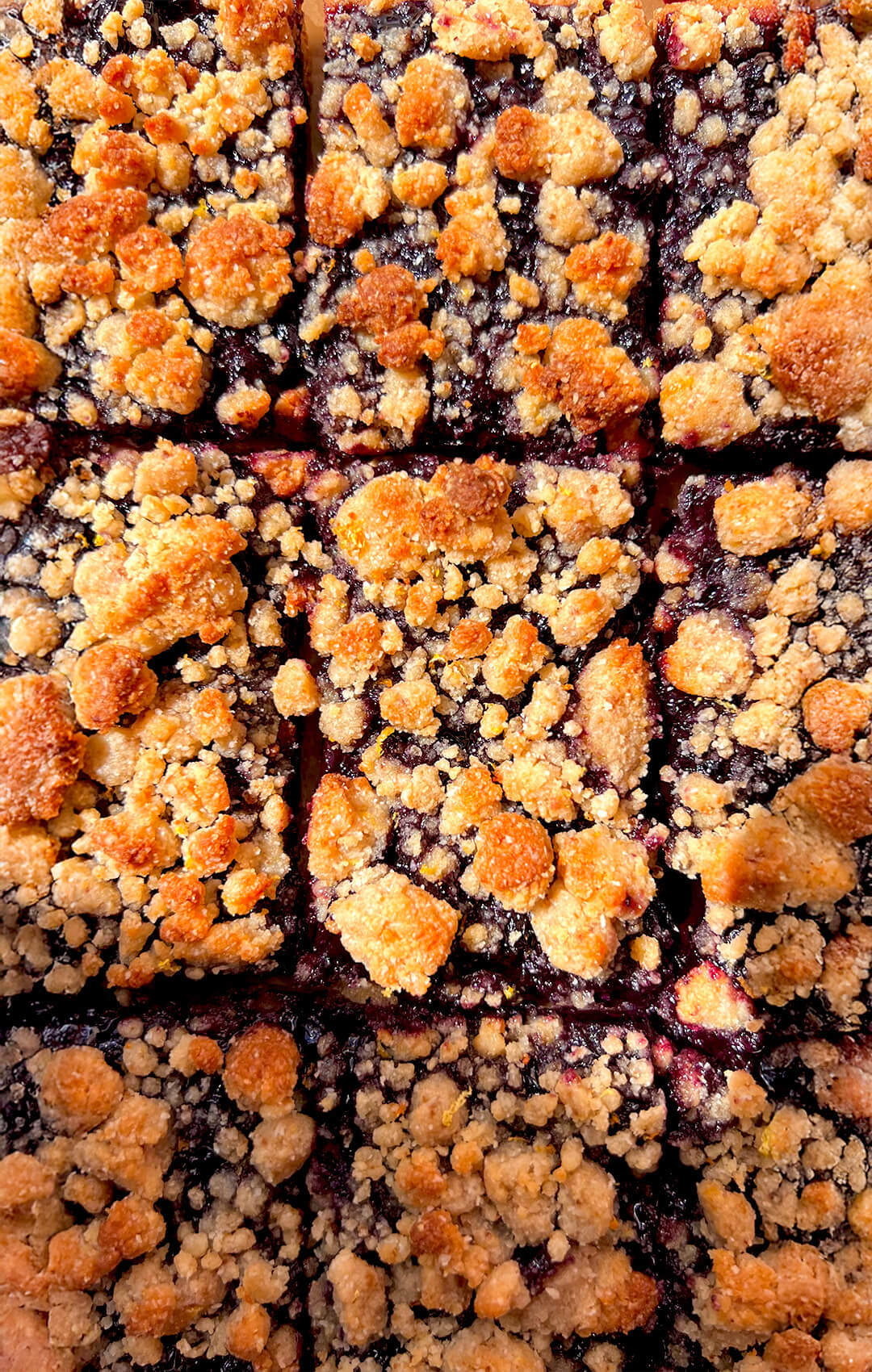 Close up texture of golden crumble topping on healthy blueberry crumble bars, buttery and slightly crisp over a juicy jammy blueberry layer, made with almond flour and coconut flour, paleo, gluten-free, refined sugar-free with sugar-free option.