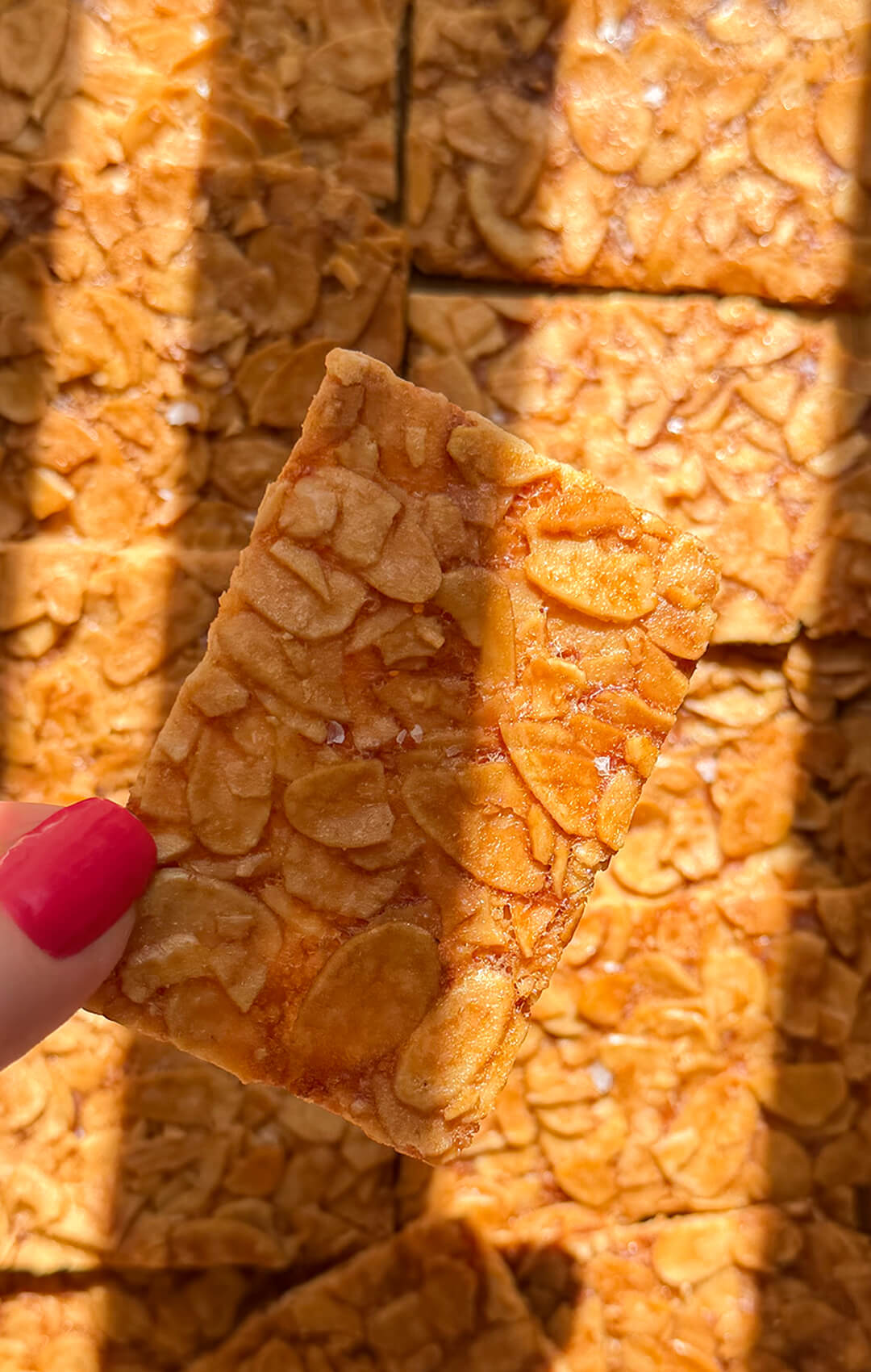 Close-up of a single sugar-free almond crisp cookie held by hand, showing the deeply golden sliced almonds, very thin crisp texture, and delicate crackly finish. This flourless almond cookie is crunchy, flavourful, quick and easy to make at home, with keto, gluten-free, vegetarian, and paleo option appeal.