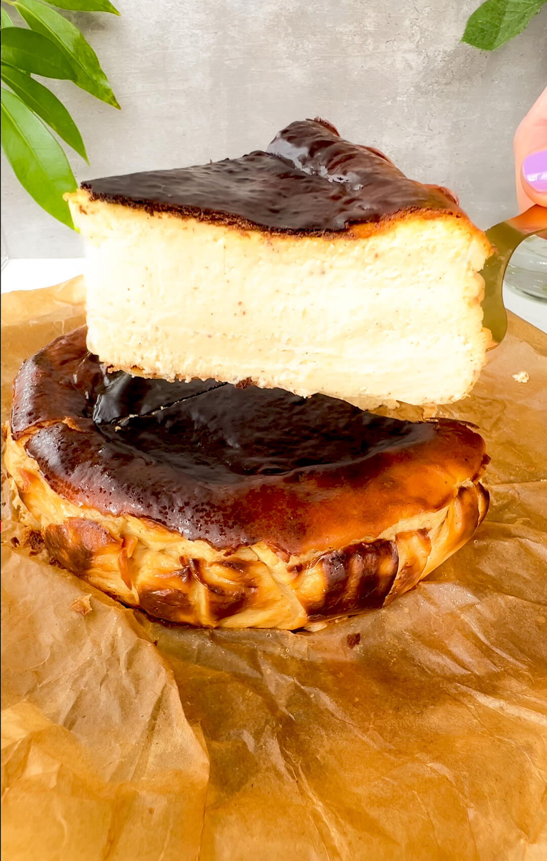 A slice of Basque Burnt Cheesecake being lifted from the whole cake, showing a creamy centre and dark caramelised top