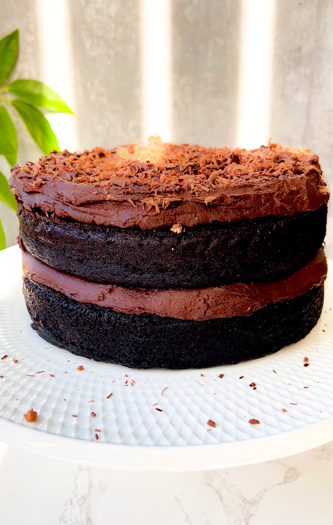 09 whole two layer paleo chocolate cake