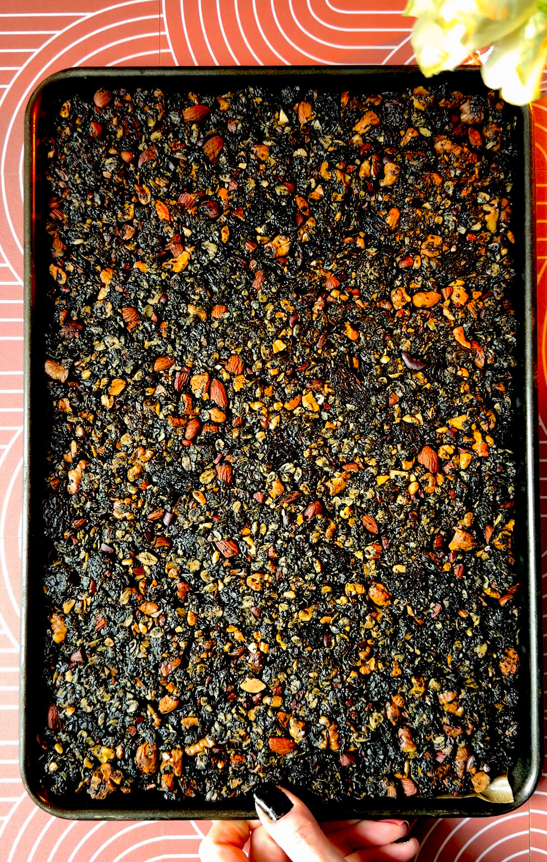 A full sheet pan of freshly baked black tahini granola clusters being held by a hand with black nail polish. This nutrient-rich homemade granola is packed with black tahini, black sesame seeds, poppy seeds, rolled oats, roasted almonds, cashews, walnuts, sunflower seeds, black raisins, and cacao nibs, making it a high-fiber, gluten-free breakfast rich in healthy fats and essential minerals.