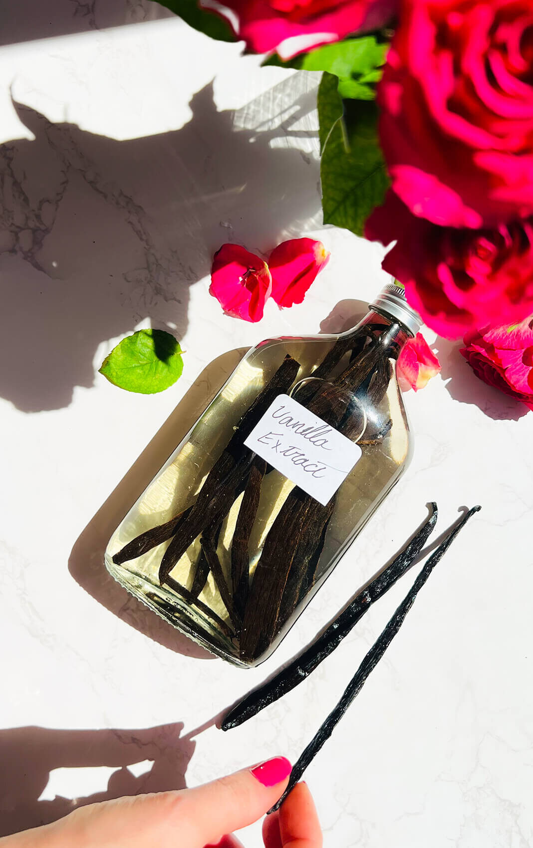 © Healthy Food by Annie. All rights reserved. No reuse, copying, editing, reposting, or redistribution without written permission. How to make your own Vanilla Extract, with only 2 simple ingredients. Madagascar vanilla beans beside a bottle of homemade vanilla extract, showing the real vanilla pods used to make pure DIY vanilla extract at home.