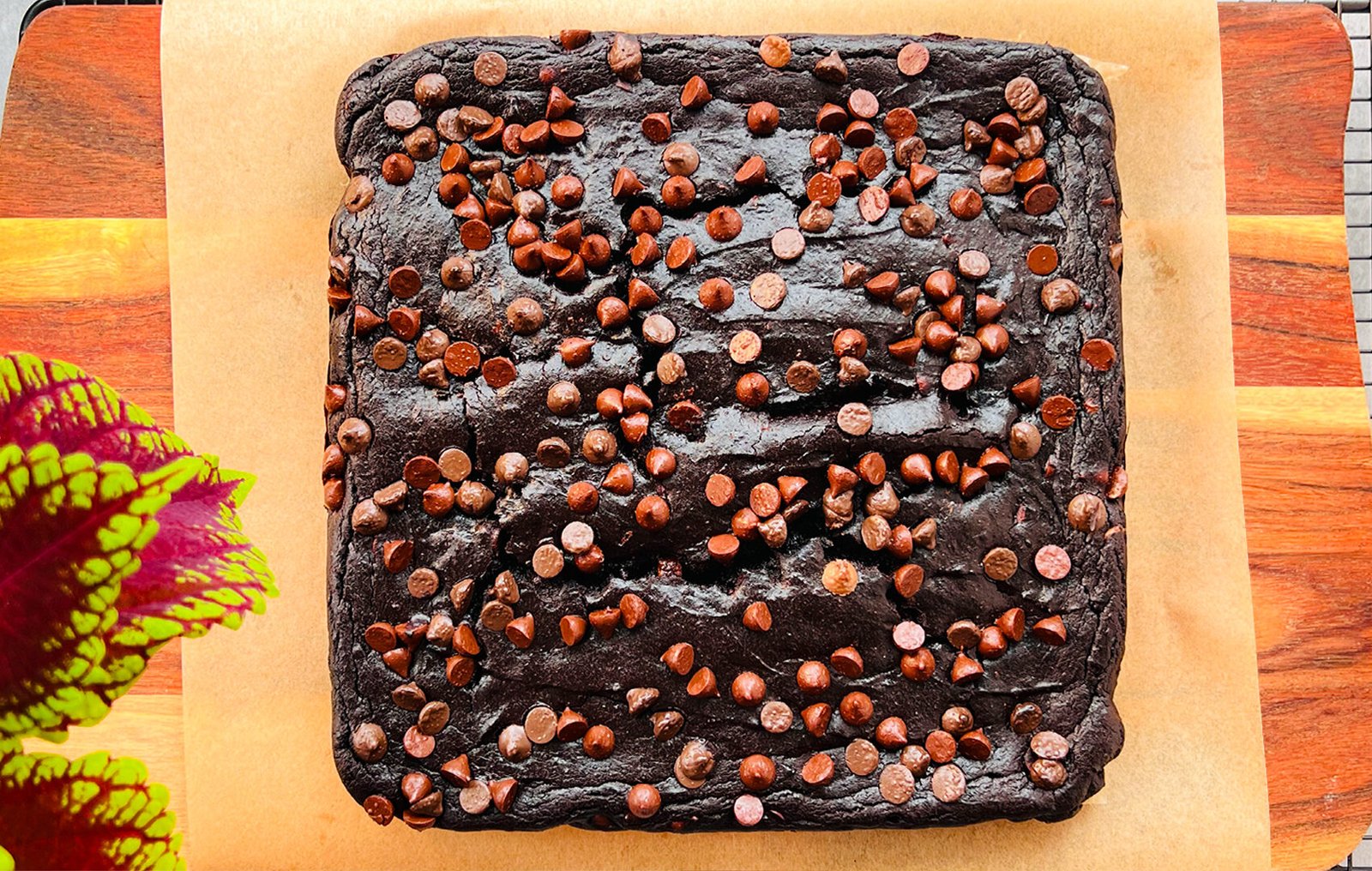 02.flourless brown butter pumpkin brownies pan e1787796655476