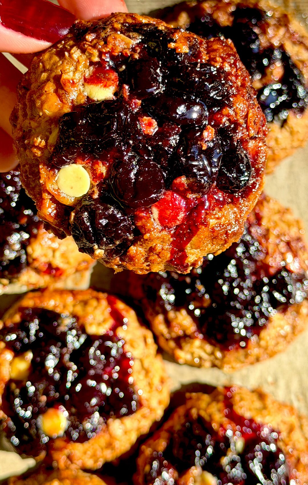Healthy peanut butter sour cherry oatmeal cookie held close to the camera with thick glossy cherry filling, sugar-free white chocolate chips and a soft chewy oat center, made with simple gluten-free, refined sugar-free ingredients.
