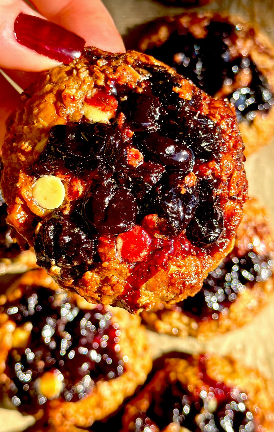 2. healthy peanut butter sour cherry oatmeal cookie closeup
