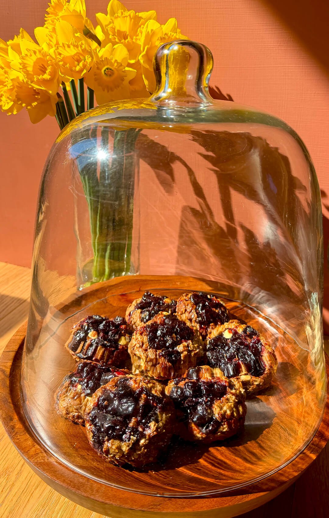 Healthy peanut butter sour cherry oatmeal cookies displayed under a glass cloche, made with rolled oats, almond flour, peanut butter and sugar-free white chocolate for a gluten-free, refined sugar-free breakfast or snack.